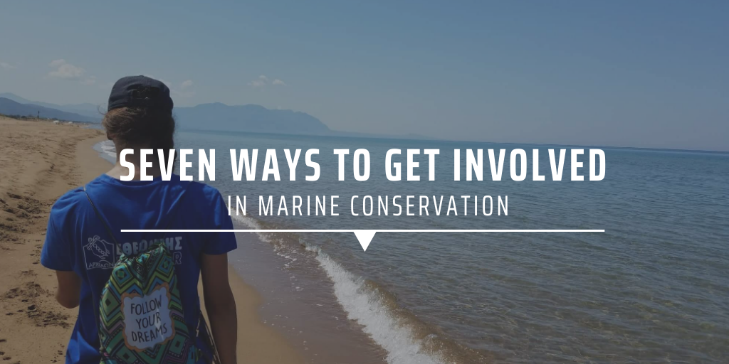 Seven ways to get involved in marine conservation