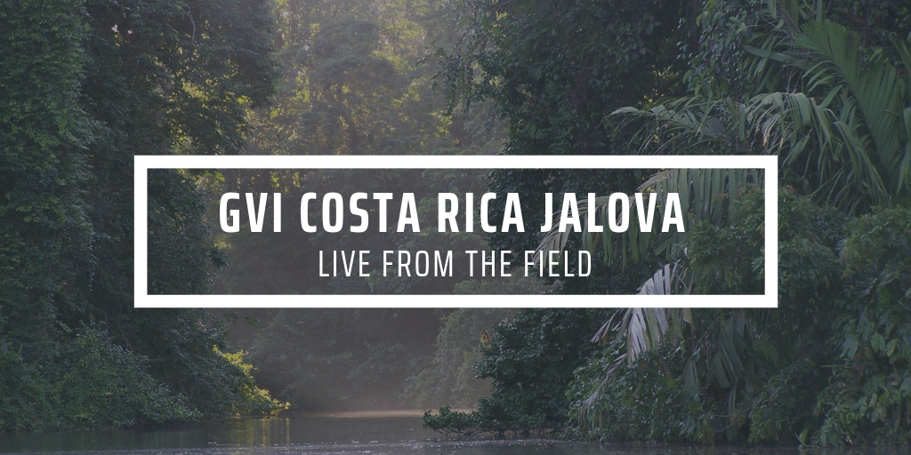 Welcome to the Jungle: My first week as a conservation Intern