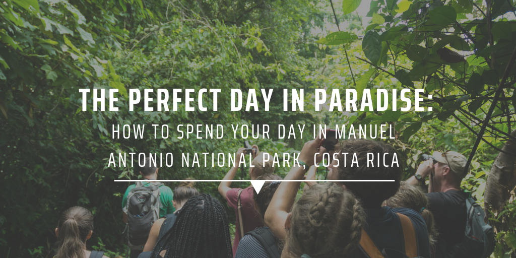 The perfect day in paradise: How to spend your day in Manuel Antonio National Park, Costa Rica