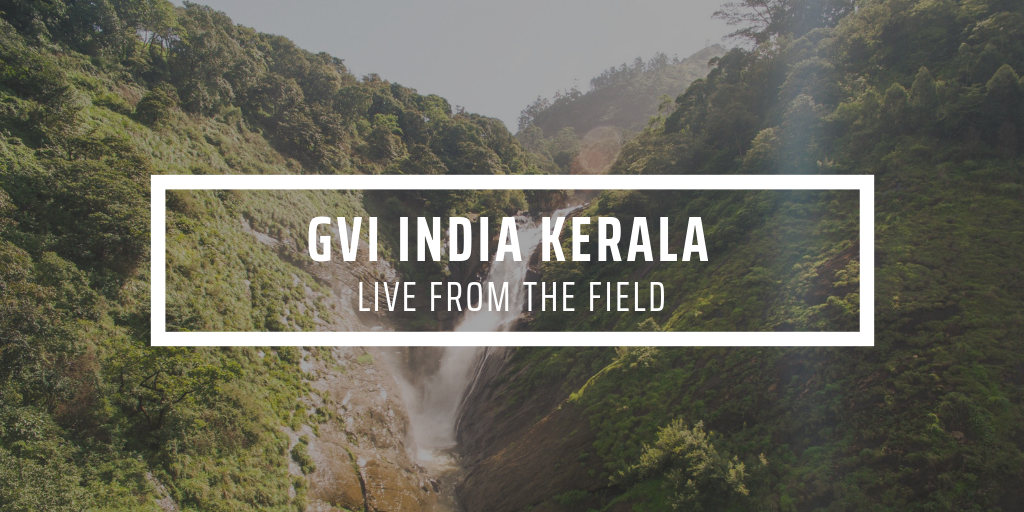 Sustainable Community Development in Kerala