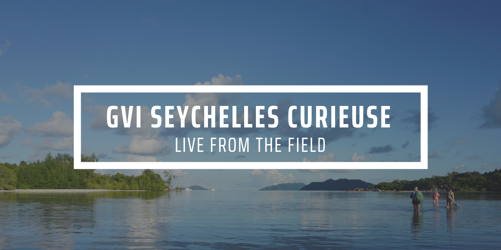 Life on Curieuse