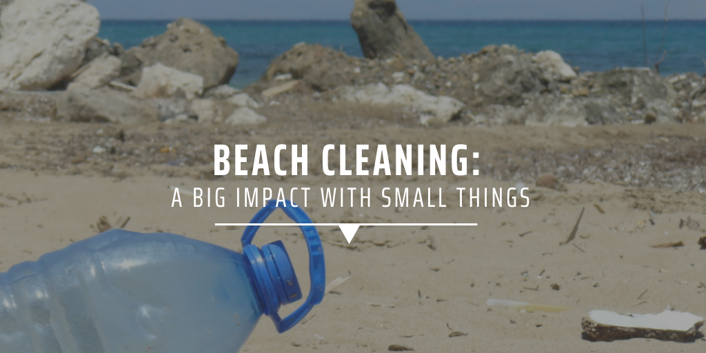 Beach cleaning: A big impact with small things.
